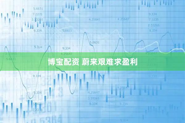 博宝配资 蔚来艰难求盈利