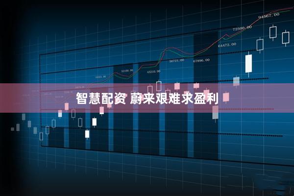 智慧配资 蔚来艰难求盈利