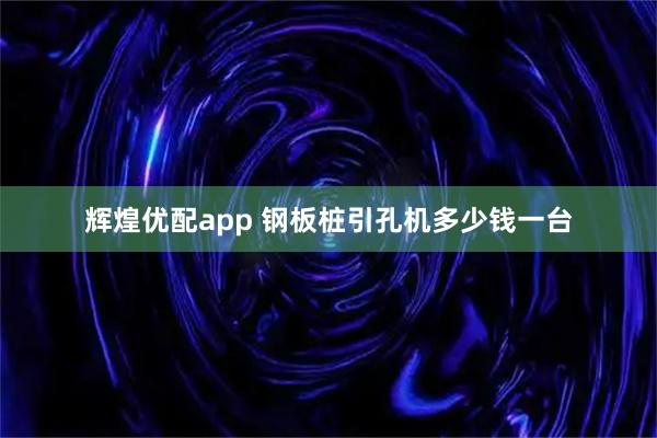 辉煌优配app 钢板桩引孔机多少钱一台