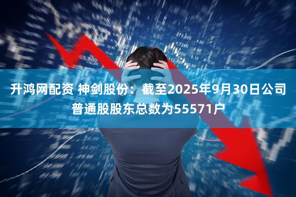 升鸿网配资 神剑股份：截至2025年9月30日公司普通股股东总数为55571户