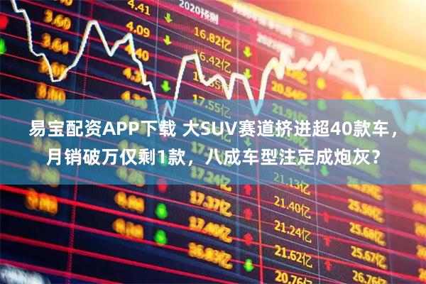 易宝配资APP下载 大SUV赛道挤进超40款车,月销破万仅剩1款,八成车型注定成炮灰?